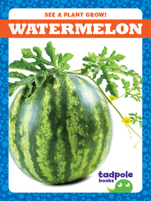 cover image of Watermelon